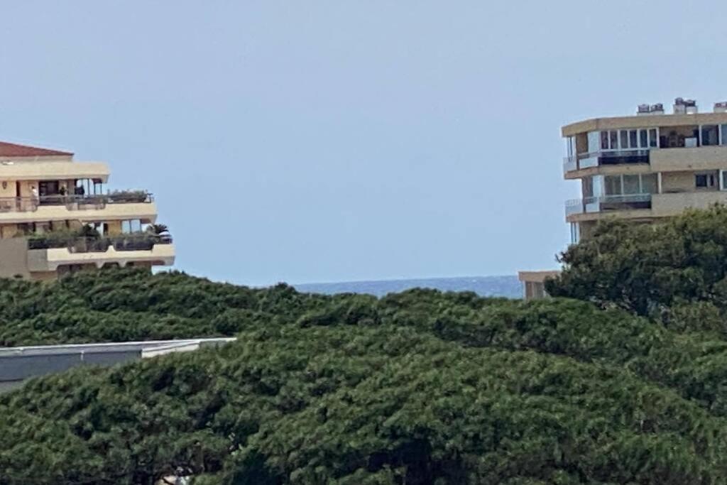 Apartment Tres Beau T4 A Plage